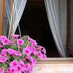 Tenuta Di Freddano *
