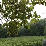 Tenuta Di Freddano