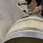 Tenuta Di Freddano مزرعة للإقامة *