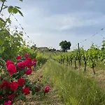 Tenuta Di Freddano Osa