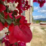 Tenuta Di Freddano * Osa