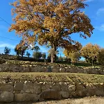 Tenuta Di Freddano