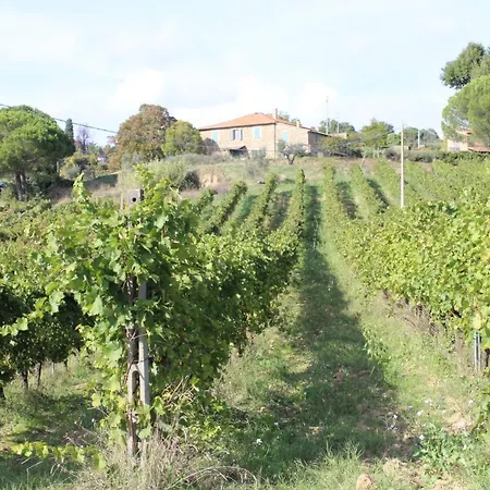 Vakantieboerderij Tenuta Di Freddano Osa