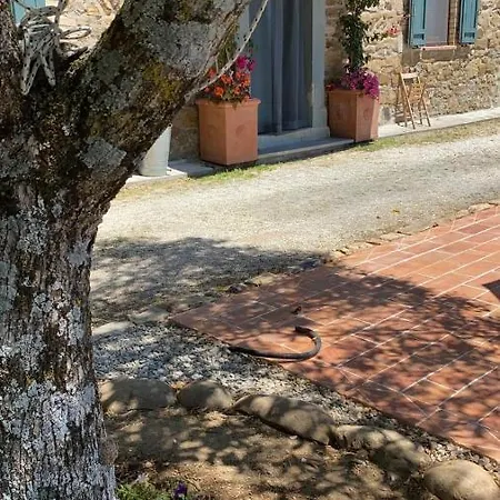 Tenuta Di Freddano *