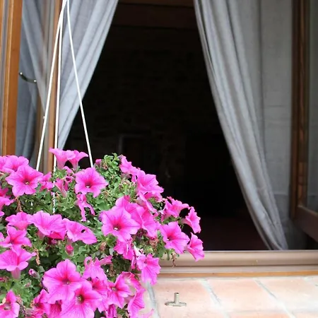 Tenuta Di Freddano *