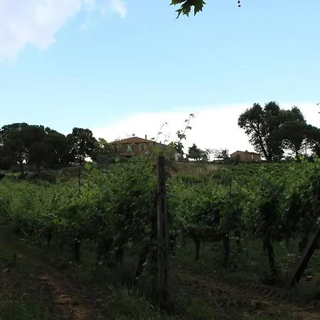 Tenuta Di Freddano Bauernhof Osa