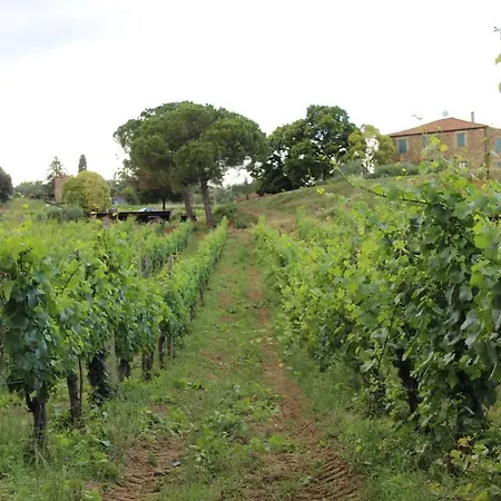 Alojamento de Turismo Rural Tenuta Di Freddano Osa