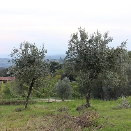 Tenuta Di Freddano