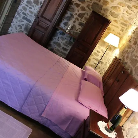 Tenuta Di Freddano * Osa