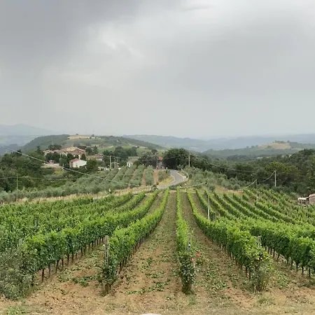 Alojamento de Turismo Rural Tenuta Di Freddano *