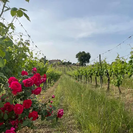 Tenuta Di Freddano Osa