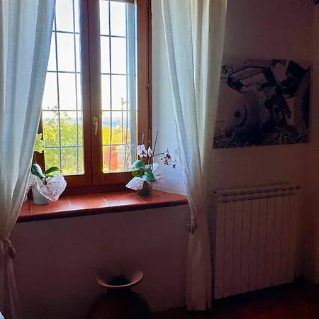 Alojamento de Turismo Rural Tenuta Di Freddano *