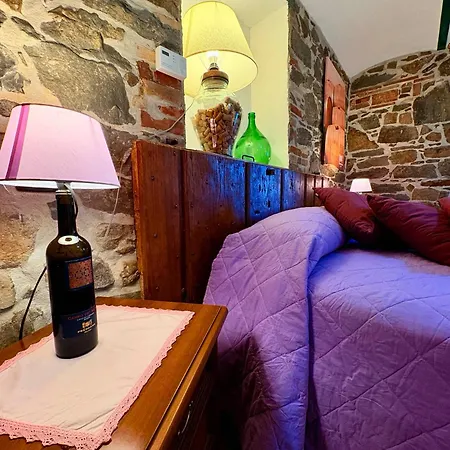 Tenuta Di Freddano * Osa