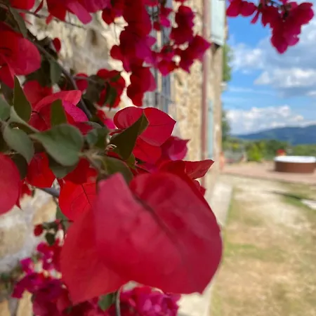 Tenuta Di Freddano * Osa