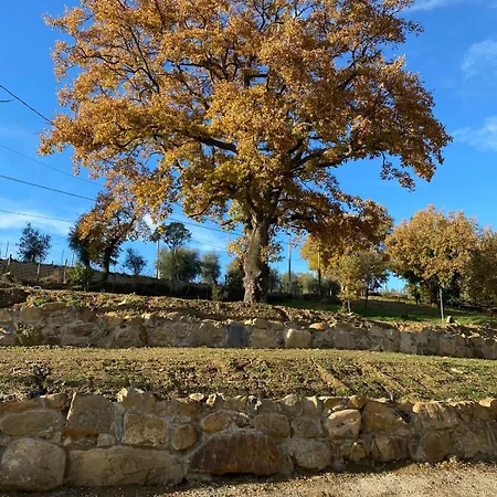Tenuta Di Freddano